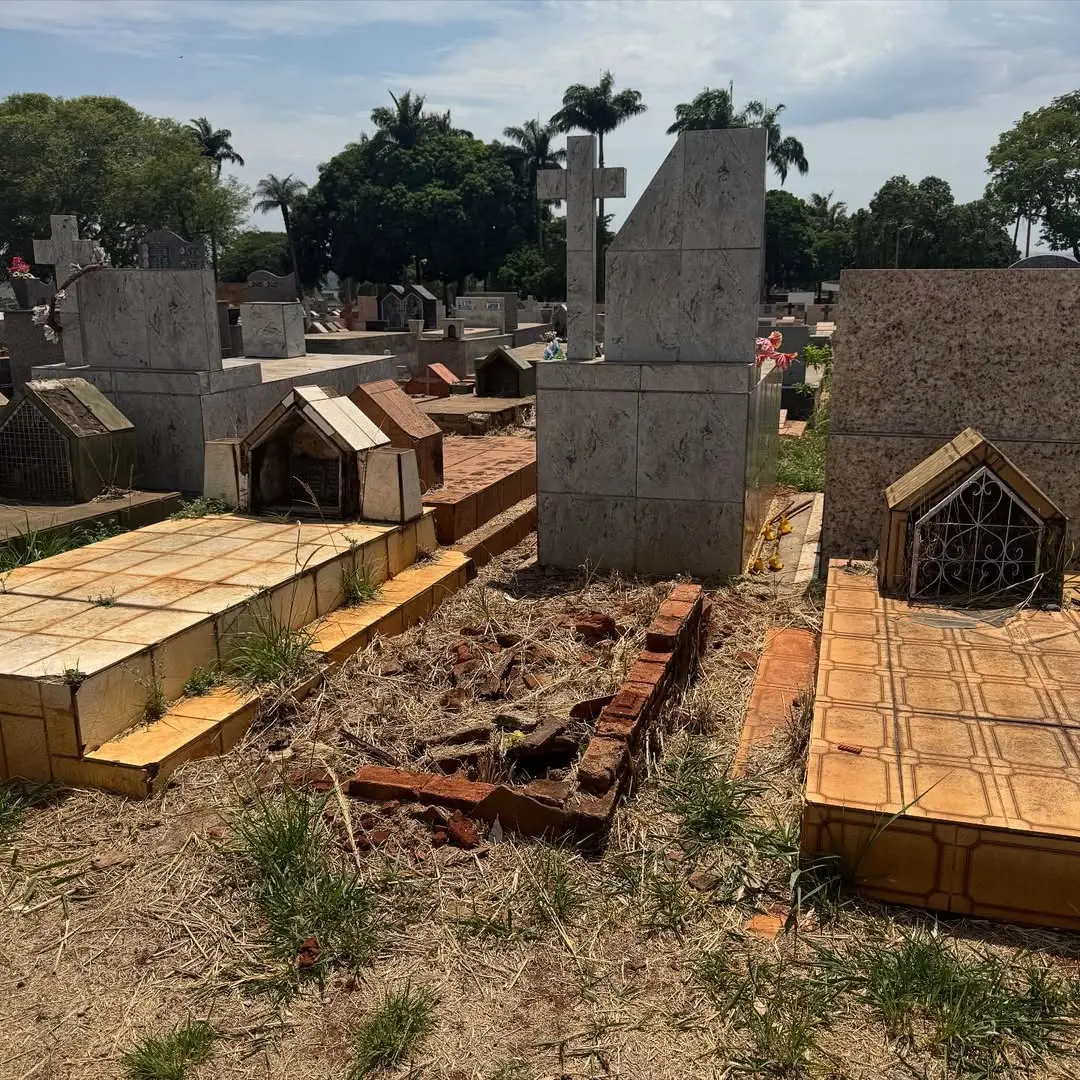 instasave.website_572545175_18046299647679412_1054040348625305853_n