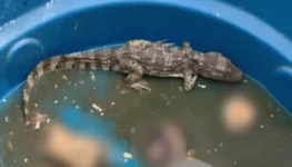 WhatsApp-Image-2025-11-03-at-15.06.30