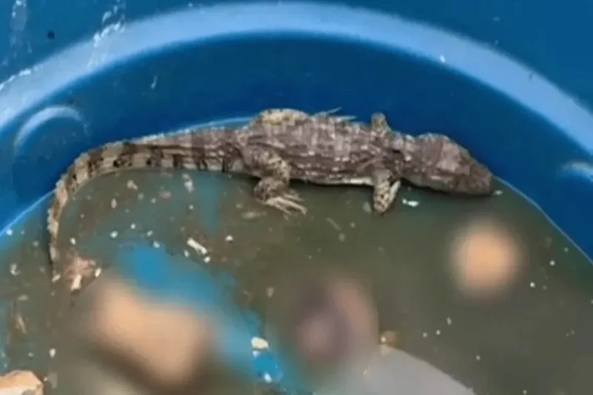 WhatsApp-Image-2025-11-03-at-15.06.30