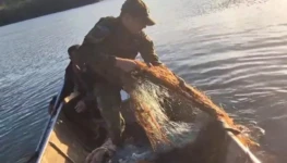 WhatsApp-Image-2025-02-07-at-10.06.15