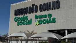 WhatsApp Image 2025-11-05 at 13.56.30