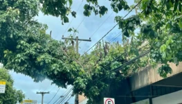 WhatsApp Image 2025-11-05 at 15.12.21