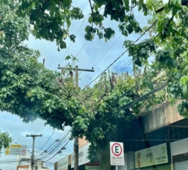 WhatsApp Image 2025-11-05 at 15.12.21