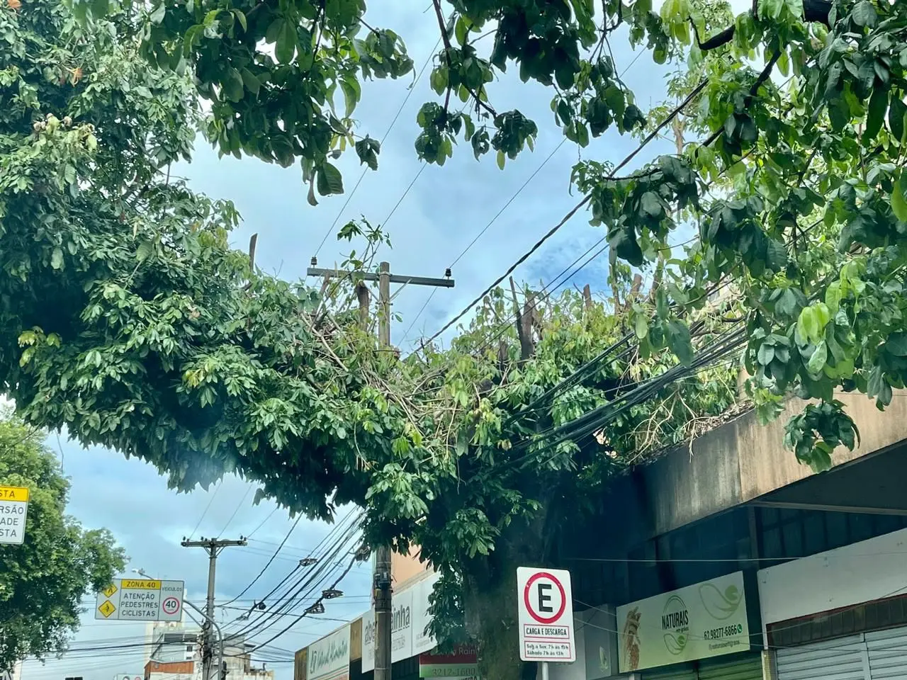 WhatsApp Image 2025-11-05 at 15.12.21