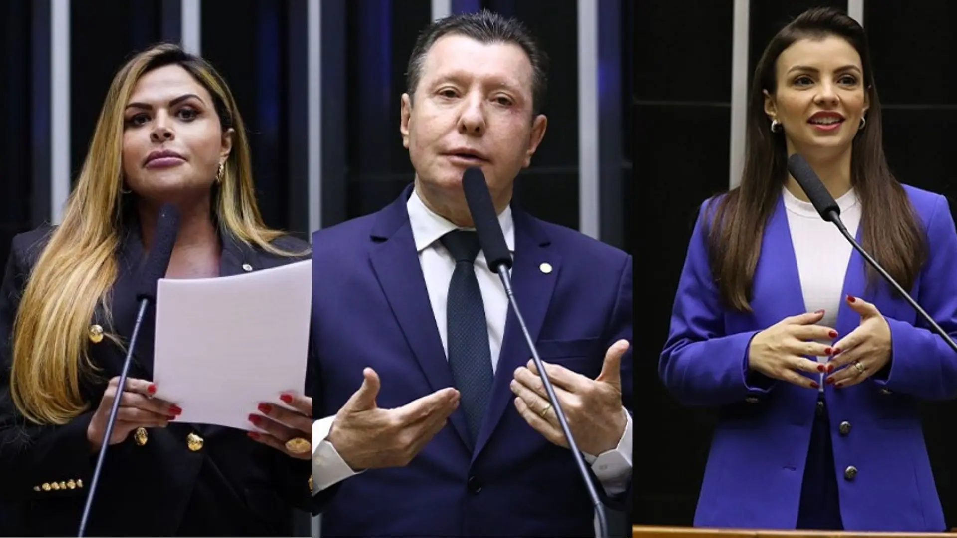 maior parte das propostas, com 11 menções, refere-se e a instituições de ensino e visam estabelecer a obrigatoriedade do estudo da Bíblia na grade curricular escolar (71)