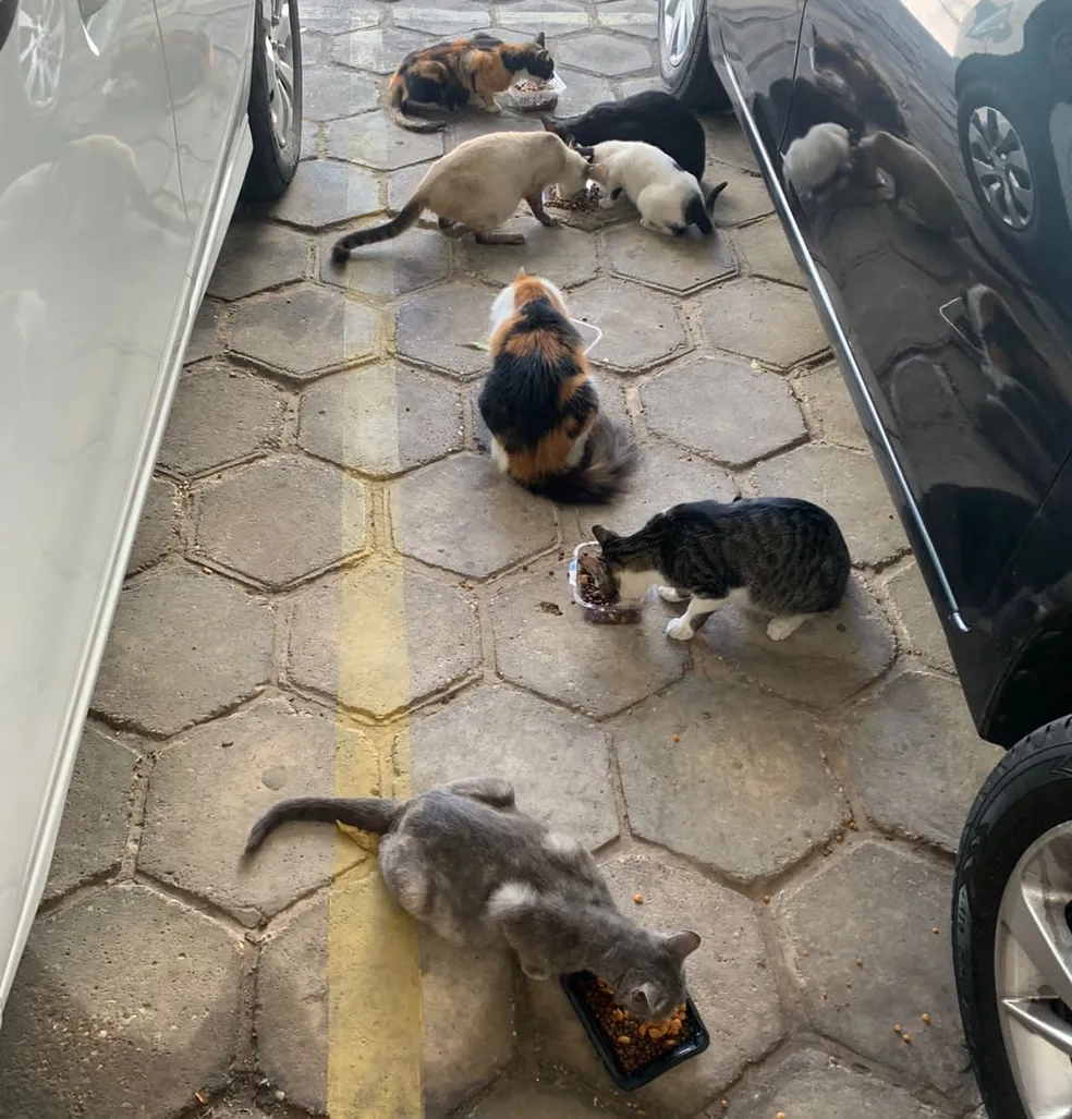 whatsapp-image-2022-10-07-at-09.14.11-1-