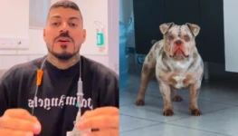 Matheus-Vandre-e-o-cachorro-Bardock