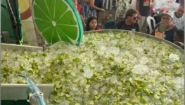 WhatsApp Image 2025-11-09 at 16.57.14