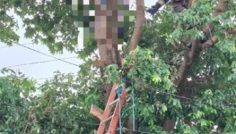 WhatsApp Image 2025-11-09 at 17.39.53