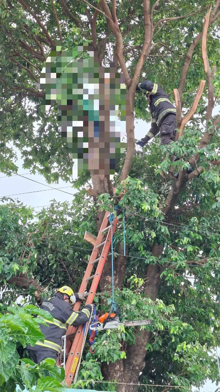 WhatsApp Image 2025-11-09 at 17.39.53