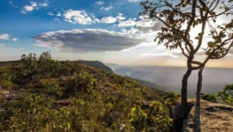 WhatsApp Image 2025-11-10 at 08.55.18