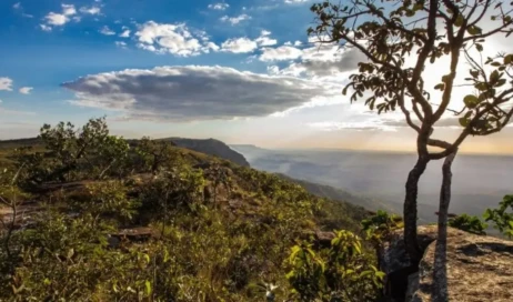 WhatsApp Image 2025-11-10 at 08.55.18