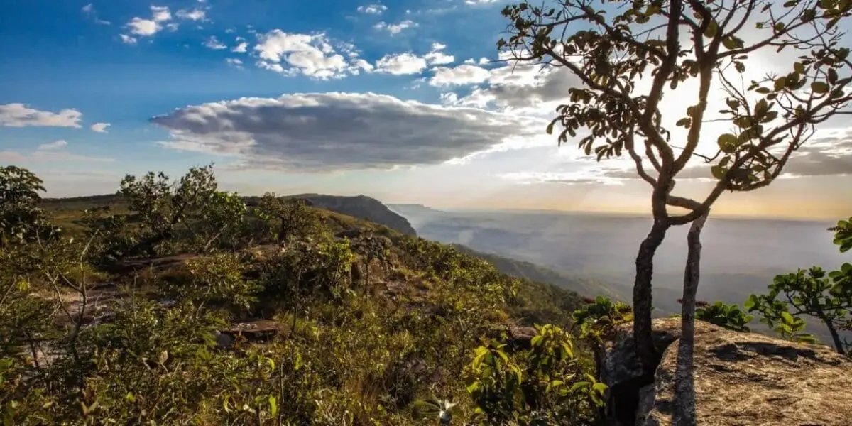 WhatsApp Image 2025-11-10 at 08.55.18