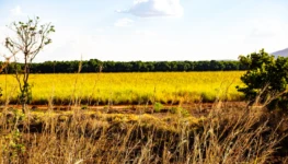 WhatsApp Image 2025-10-30 at 16.35.41