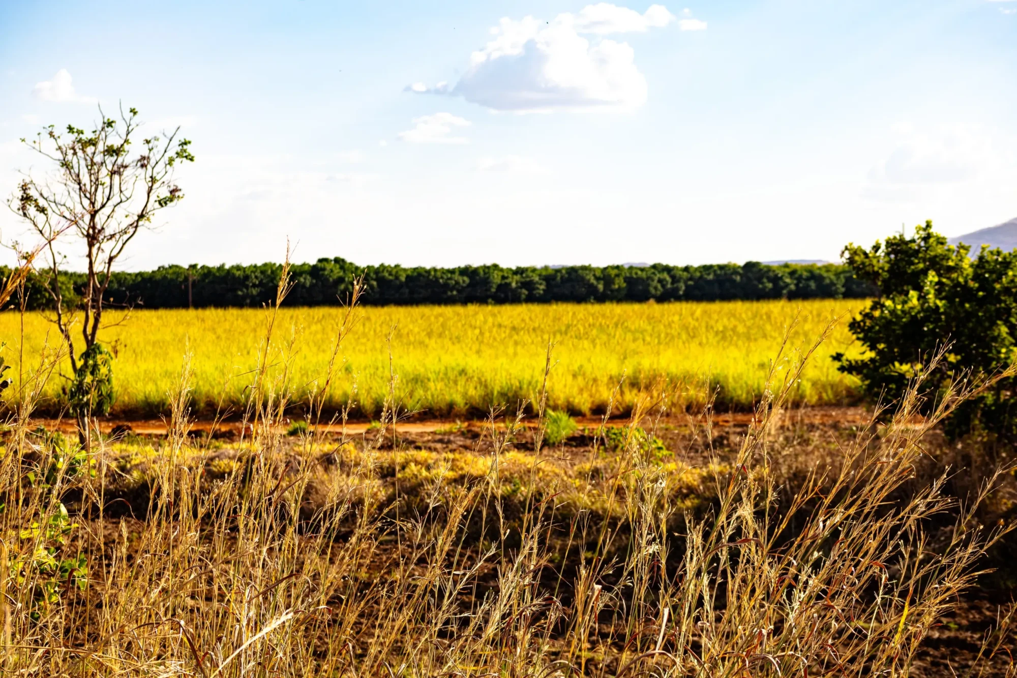 WhatsApp Image 2025-10-30 at 16.35.41