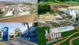 maior parte das propostas, com 11 menções, refere-se e a instituições de ensino e visam estabelecer a obrigatoriedade do estudo da Bíblia na grade curricular escolar (74)