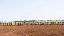 2e57a62c-8b2d-41c4-bd6e-c8127f4f6aee