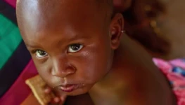 WhatsApp Image 2025-11-13 at 11.46.55