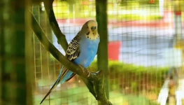 WhatsApp Image 2025-11-13 at 11.05.46