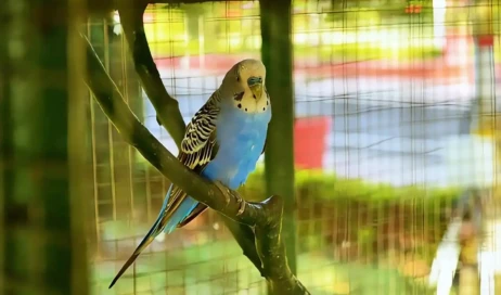 WhatsApp Image 2025-11-13 at 11.05.46