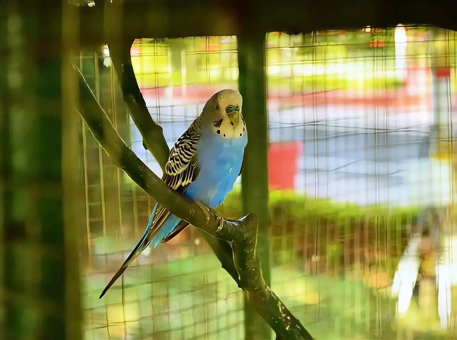 WhatsApp Image 2025-11-13 at 11.05.46