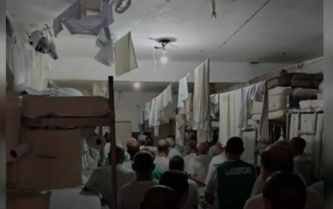 WhatsApp Image 2025-11-13 at 17.58.00