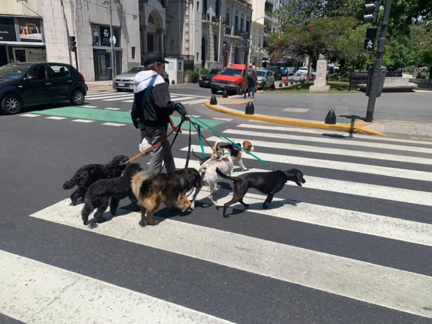 passeador de perros foto Euler de França Belém 2025