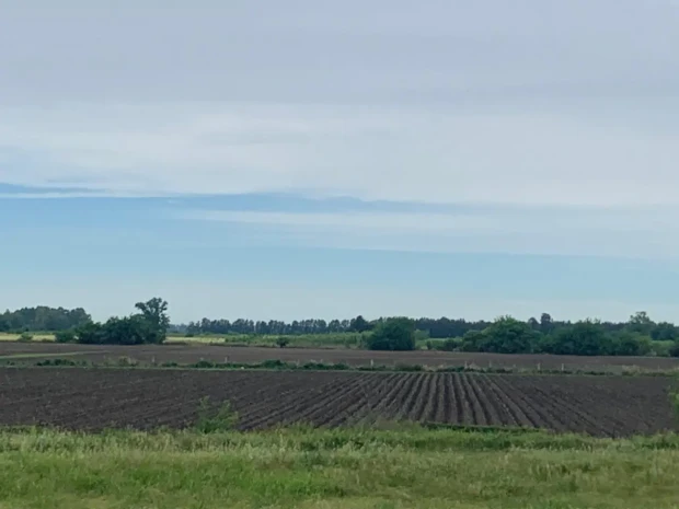 Área desmatada à beira de um rodovia que leva à cidade de Rosario
