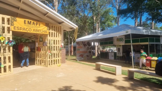 WhatsApp Image 2025-11-14 at 12.52.52