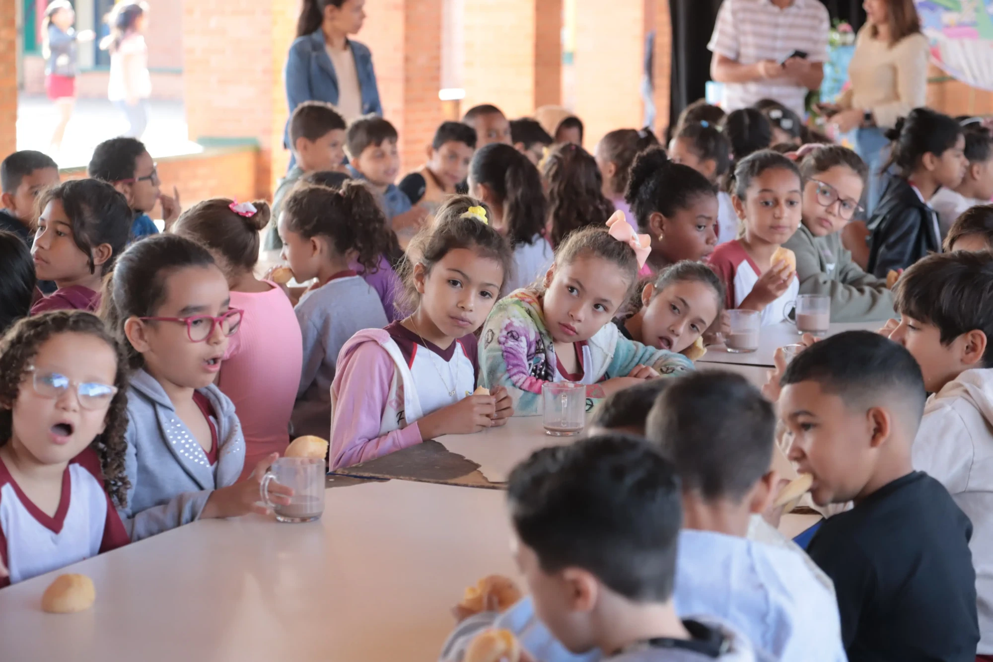 WhatsApp Image 2025-11-18 at 07.04.27