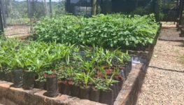 WhatsApp Image 2025-11-18 at 13.37.12