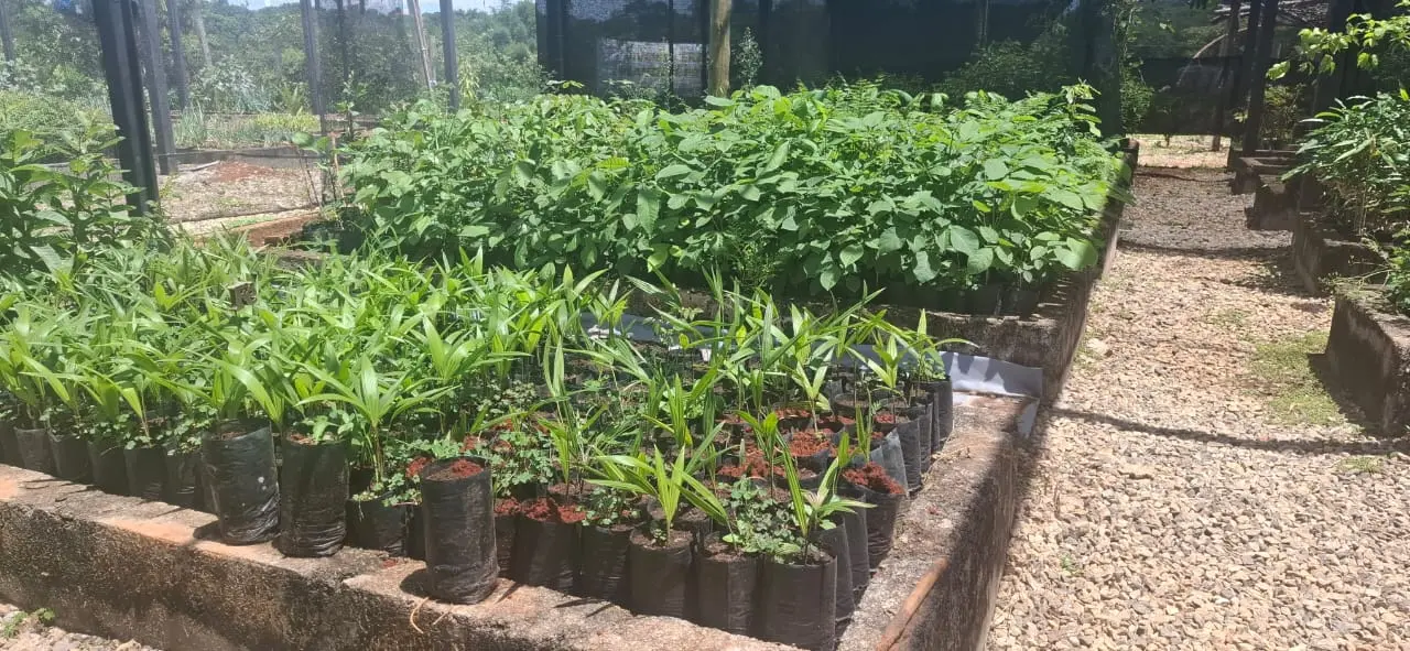 WhatsApp Image 2025-11-18 at 13.37.12