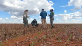 WhatsApp Image 2025-11-21 at 12.24.06