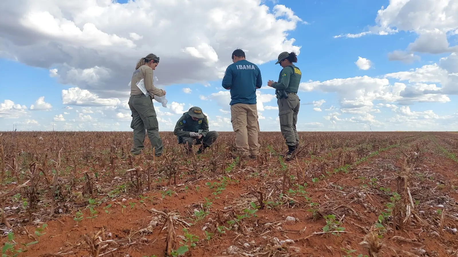 WhatsApp Image 2025-11-21 at 12.24.06