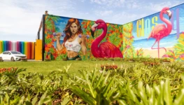 WhatsApp Image 2025-11-21 at 16.51.35