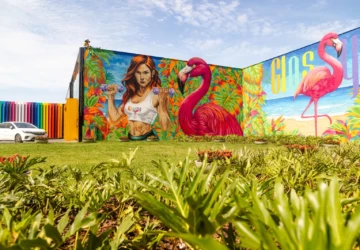 WhatsApp Image 2025-11-21 at 16.51.35