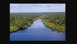 Amazônia Foto da Agência Brasil