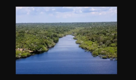 Amazônia Foto da Agência Brasil