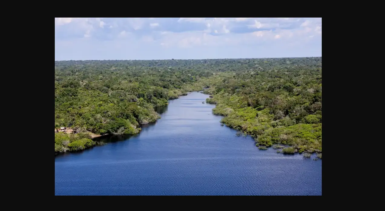 Amazônia Foto da Agência Brasil