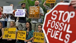 20251122fosseis1-abr