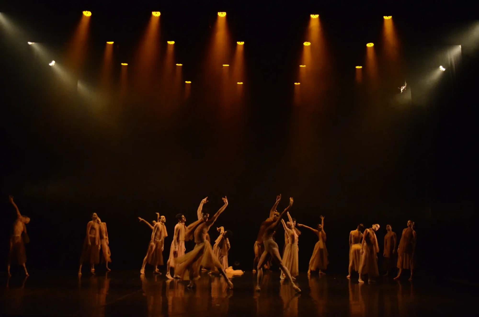 Foto: Cinthia Oliveira