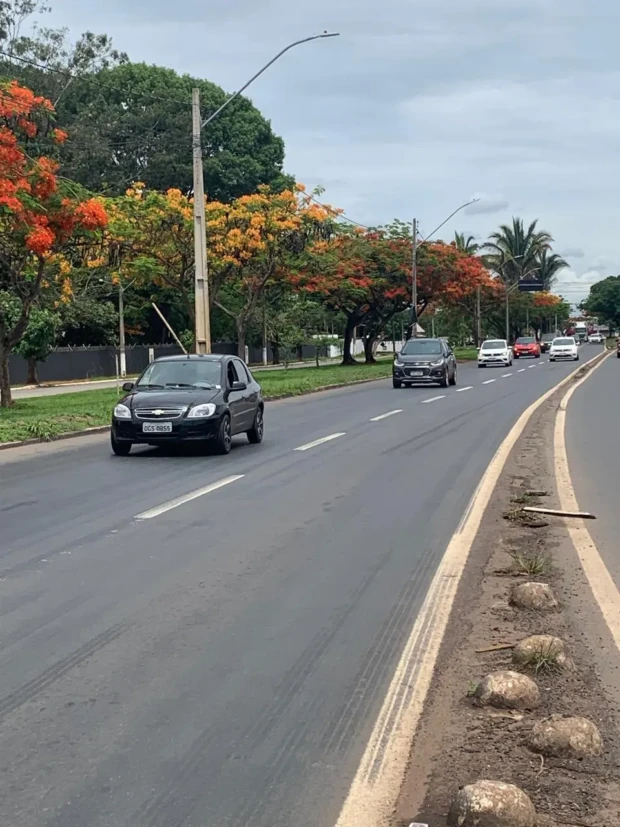 Flamboyant foto de Euler de França Belém 2025 ok3