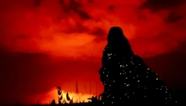 WhatsApp Image 2025-11-25 at 11.33.03