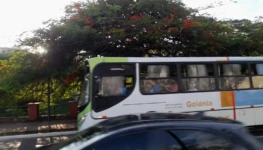 WhatsApp Image 2025-11-26 at 09.34.46