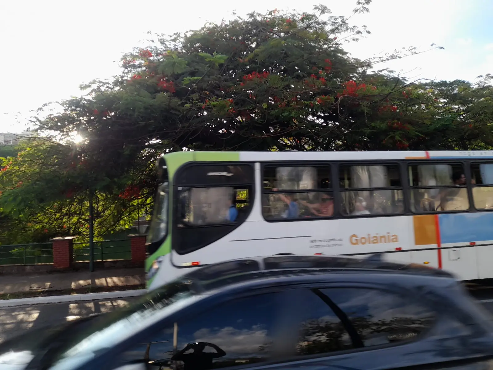 WhatsApp Image 2025-11-26 at 09.34.46