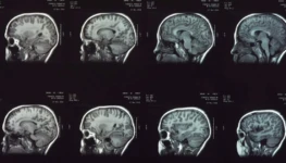 8bdd63f506c7dc6ede6d737161b27c524a0324d0_1200-630