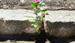 WhatsApp Image 2025-11-27 at 15.15.44