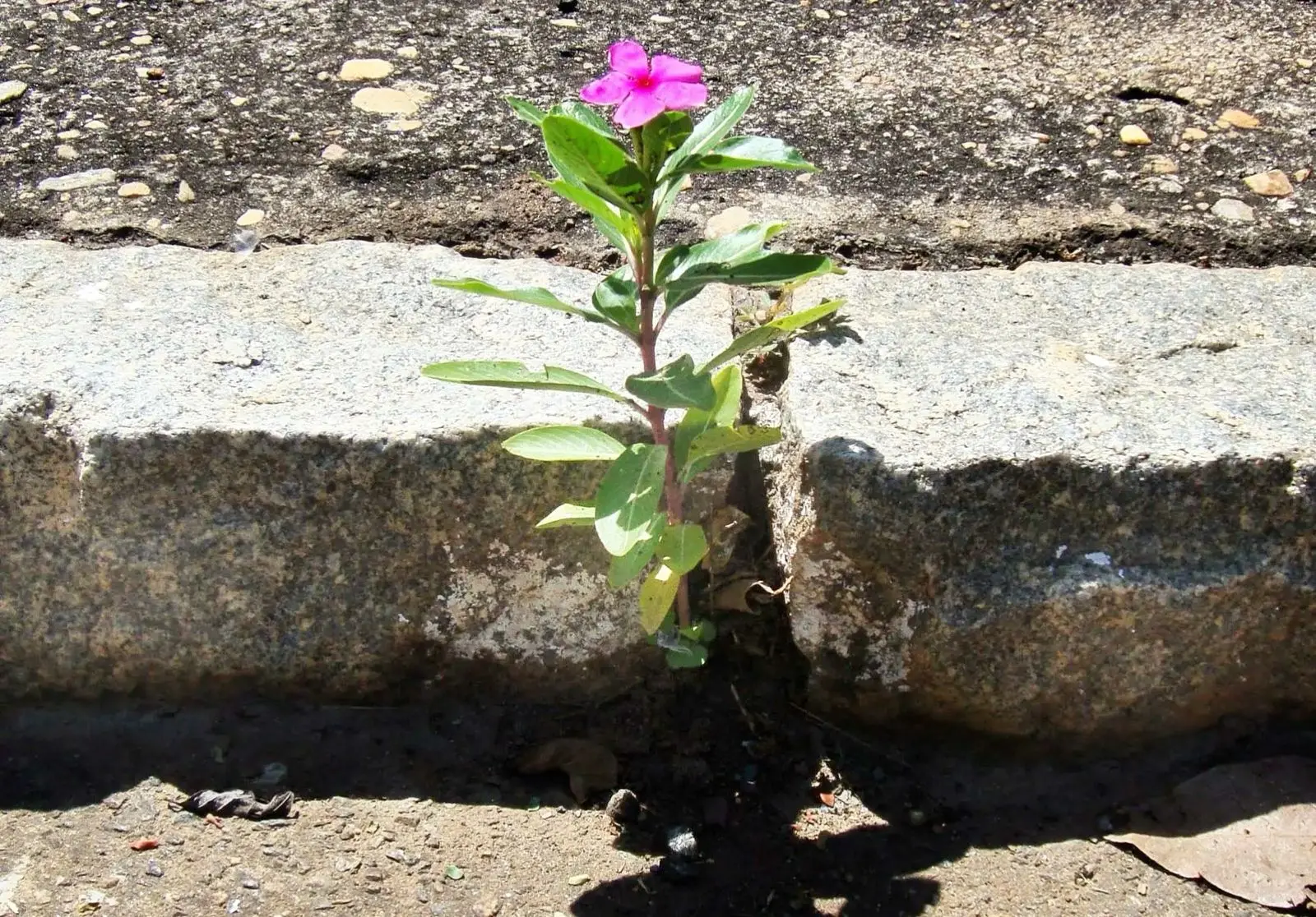 WhatsApp Image 2025-11-27 at 15.15.44