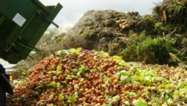 desperdicio-de-alimentos