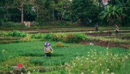 countryside-6700296_1280